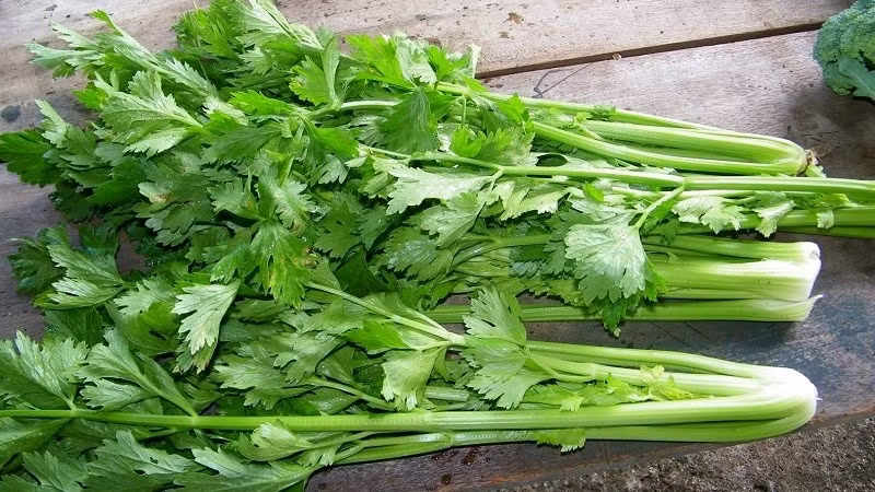 Theo chuyên gia dinh dưỡng Megan Ware, trong 100g cần tây có tới khoảng 95% là nước, cùng nhiều vitamin, protein và khoáng chất thiết yếu cho cơ thể. Đặc biệt, loại rau này chứa hàm lượng vitamin K khá cao. Trung bình khoảng 250g cần tây có thể cung cấp tới 30% lượng vitamin K cần thiết mỗi ngày, theo thông tin từ U.S. Food and Drug Administration (FDA).