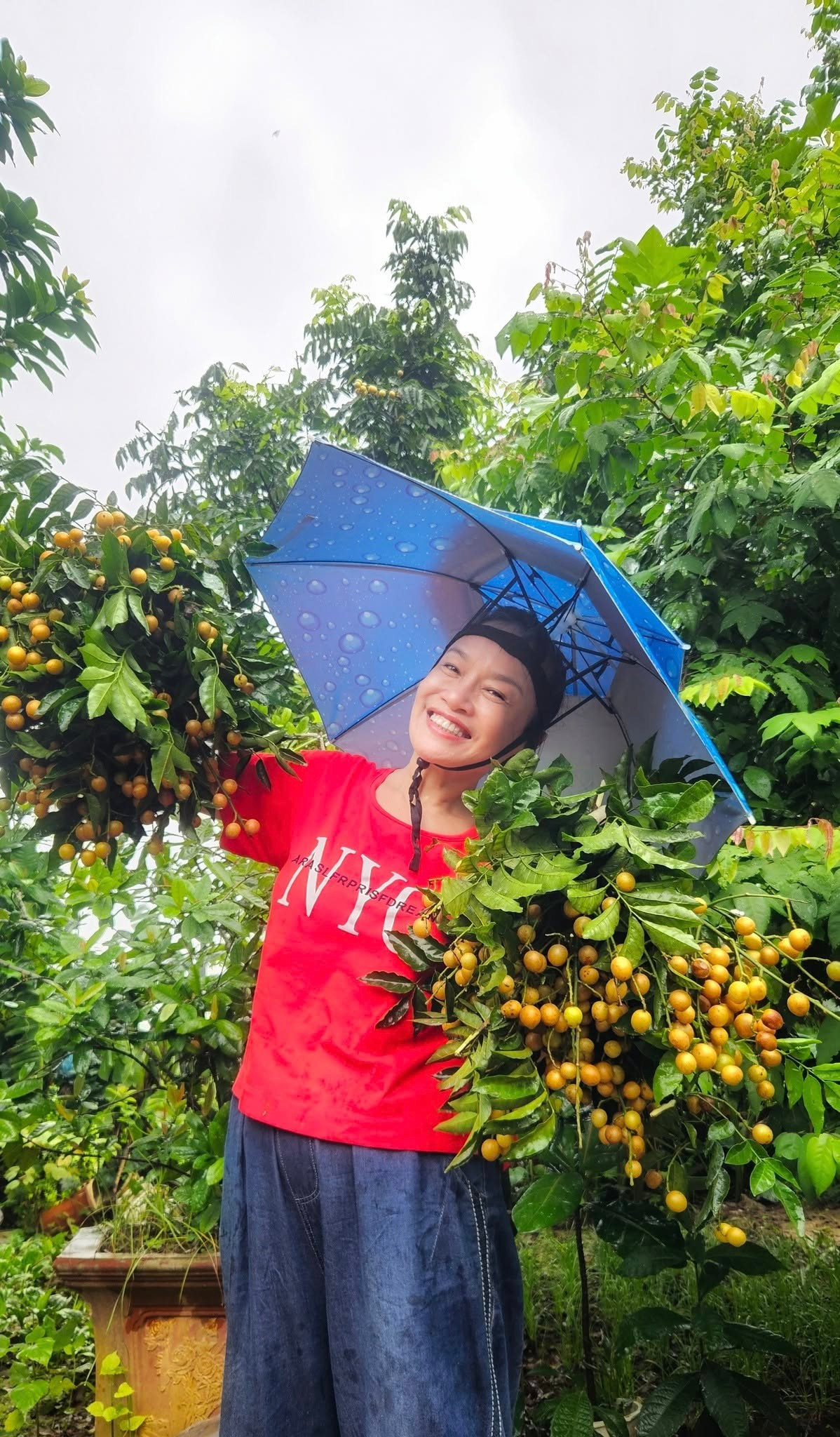 Nghệ sĩ Tú Oanh thu hoạch quất hồng bì trong vườn nhà. Ảnh: FB Oanh Le Tu