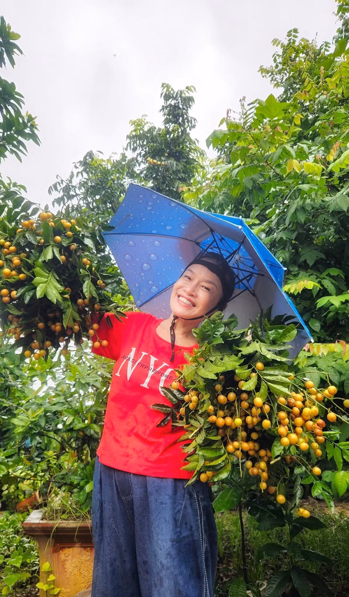 Nghệ sĩ Tú Oanh thu hoạch quất hồng bì trong vườn nhà. Ảnh: FB Oanh Le Tu