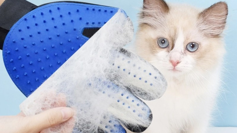 Sử dụng găng tay chải lông chuyên dụng silicon là một cách để kéo lông thú cưng ra khỏi bề mặt vải khi vuốt nhẹ. Ưu điểm là không làm xước sofa, thao tác nhanh và dễ kiểm soát lượng lông được gom lại.