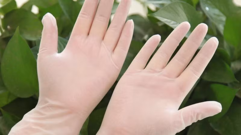 Tương tự, găng tay cao su ẩm là giải pháp tiết kiệm và dễ áp dụng. Chỉ cần đeo găng tay cao su, làm ướt nhẹ rồi vuốt lên mặt ghế, lông thú sẽ vón cục lại nhờ tĩnh điện và ma sát. Cách này phù hợp để vệ sinh nhanh hằng ngày.