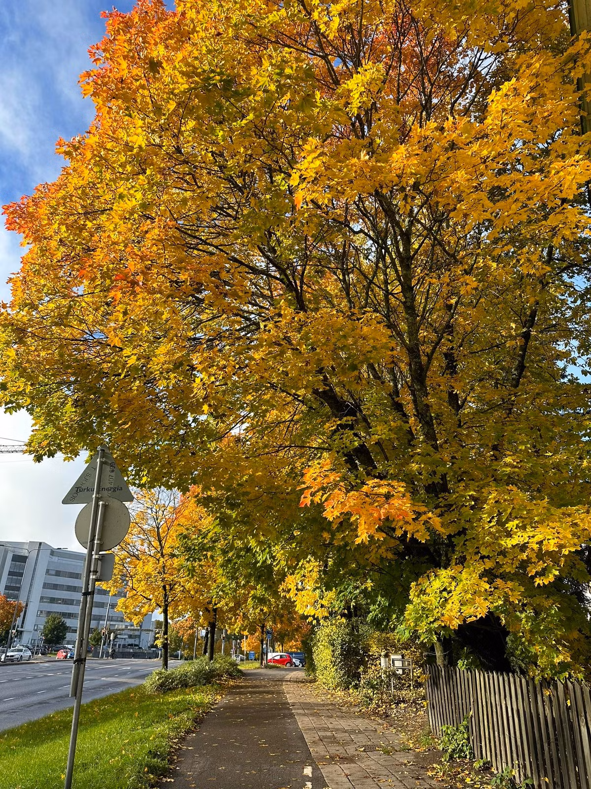 Khán giả nhận xét, cô ngày càng trẻ trung, cuốn hút và toát lên vẻ sang trọng, quý phái hơn so với thời còn là người mẫu.
