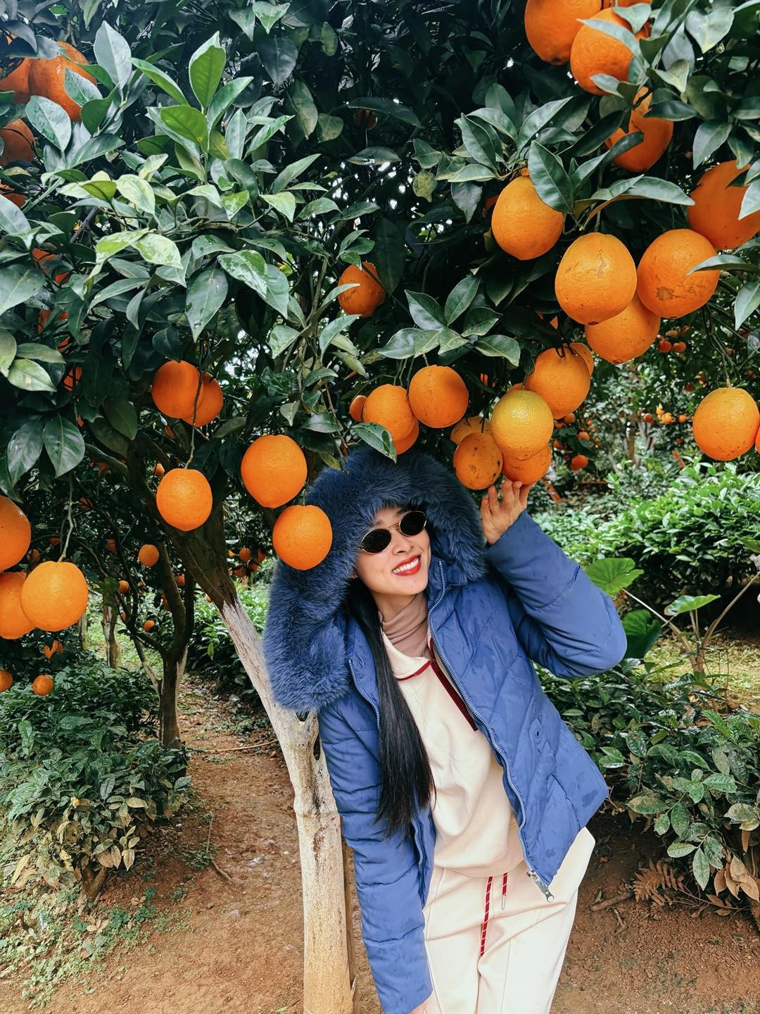 Tin tức sao Việt 13/12: Diễn viên Diệp Bảo Ngọc tạo dáng chụp ảnh với những cây cam trái sai lúc lỉu, vàng ươm. Ảnh: FB Diệp Bảo Ngọc