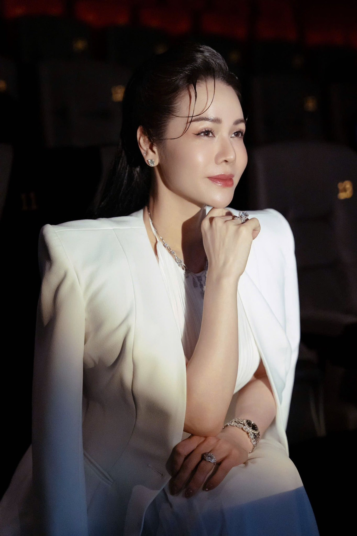 Ở tuổi 40, Nhật Kim Anh sở hữu sự nghiệp vững chắc cùng khối tài sản đáng nể.