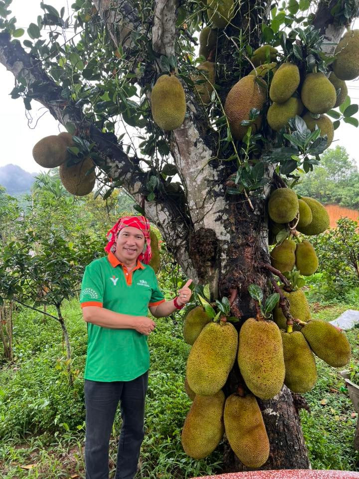 Nghệ sĩ Quang Thắng khoe cây mít sai trĩu quả. Ảnh: FB Đặng Quang Thắng