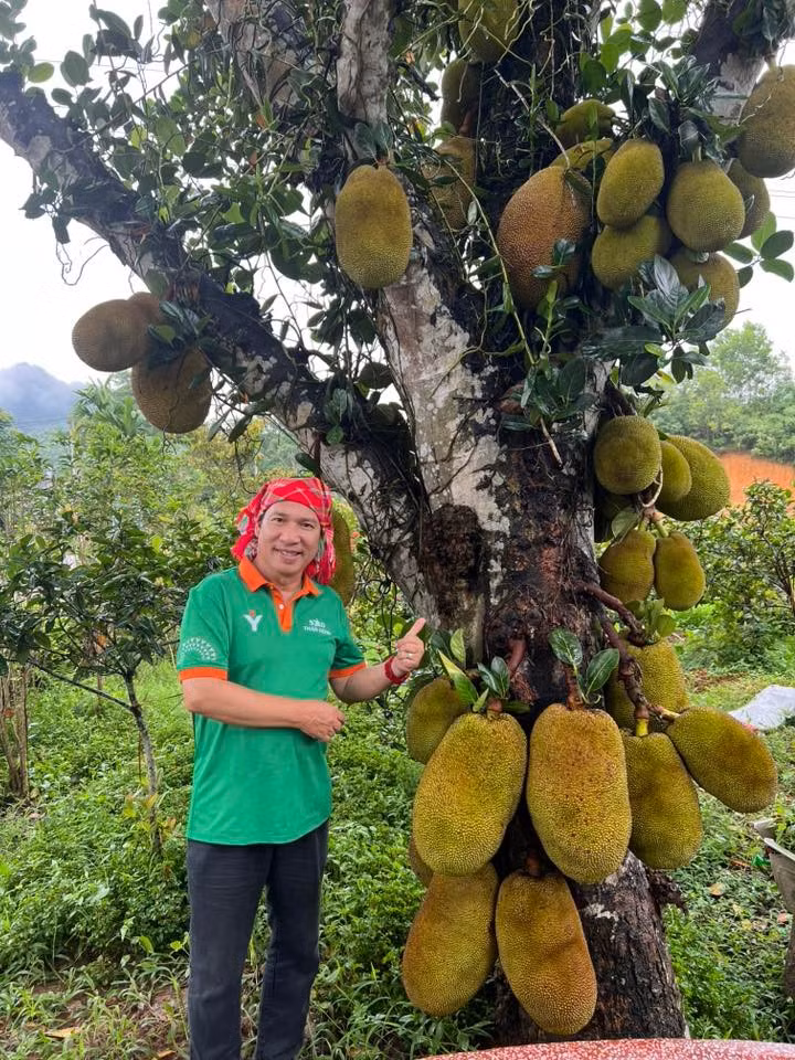 Nghệ sĩ Quang Thắng khoe cây mít sai trĩu quả. Ảnh: FB Đặng Quang Thắng