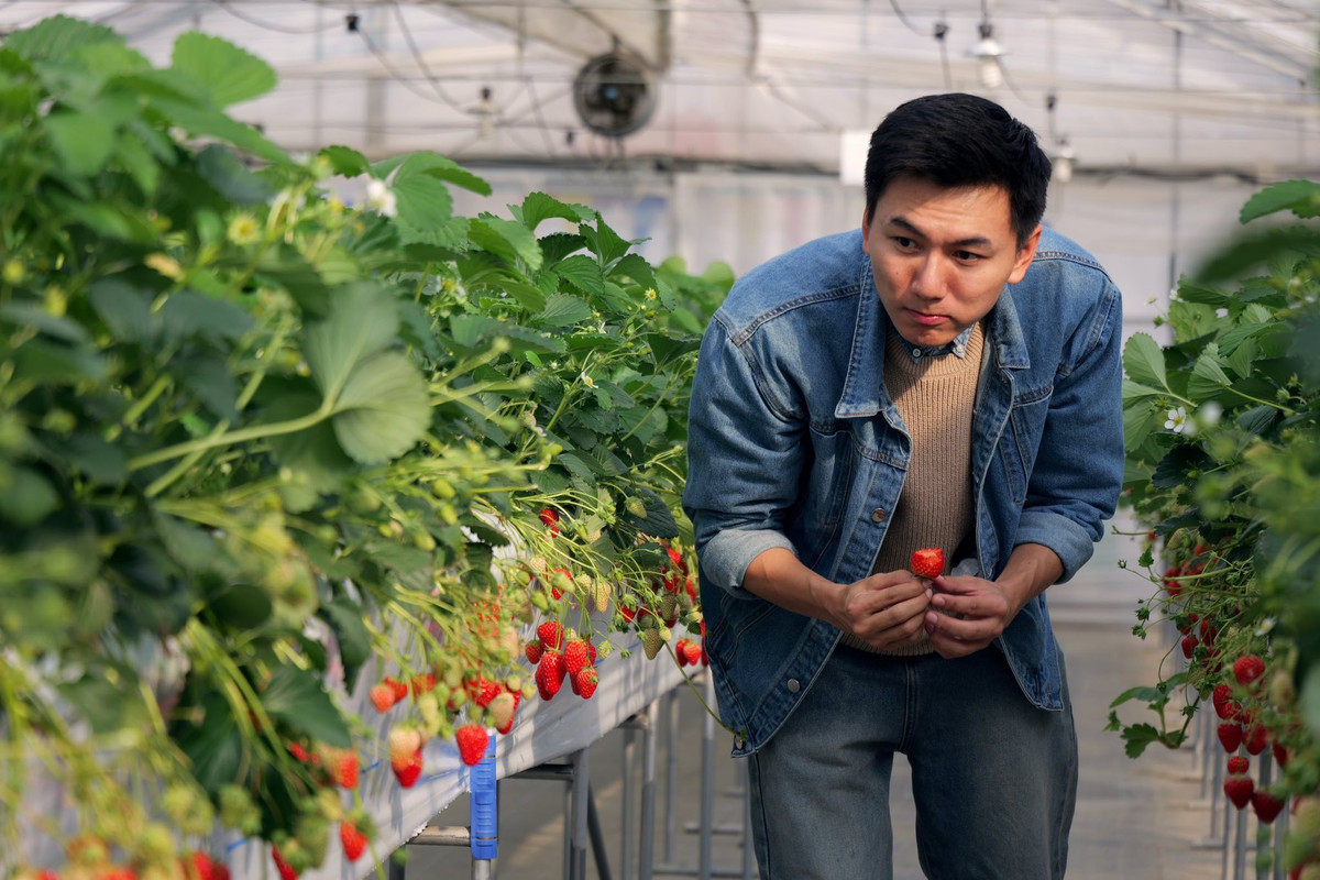 Anh tốt nghiệp ngành Kỹ thuật công trình xây dựng tại Đại học Tôn Đức Thắng TP HCM, từng là kỹ sư thiết kế trước khi chuyển sang làm vlog du lịch - ẩm thực từ năm 2017.