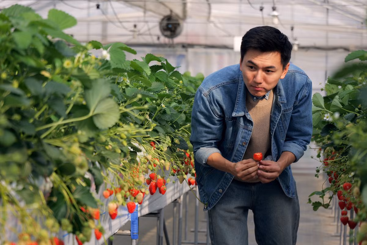 Anh tốt nghiệp ngành Kỹ thuật công trình xây dựng tại Đại học Tôn Đức Thắng TP HCM, từng là kỹ sư thiết kế trước khi chuyển sang làm vlog du lịch - ẩm thực từ năm 2017.