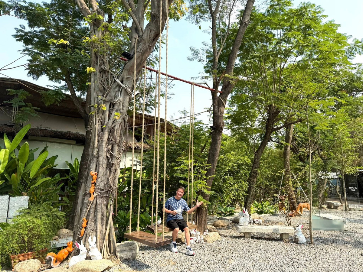 Đàm Vĩnh Hưng khoe không gian quán cà phê anh sắp mở đầy sắc xanh, đẹp như khu rừng nhiệt đới. Ảnh: FB Dam Vinh Hung