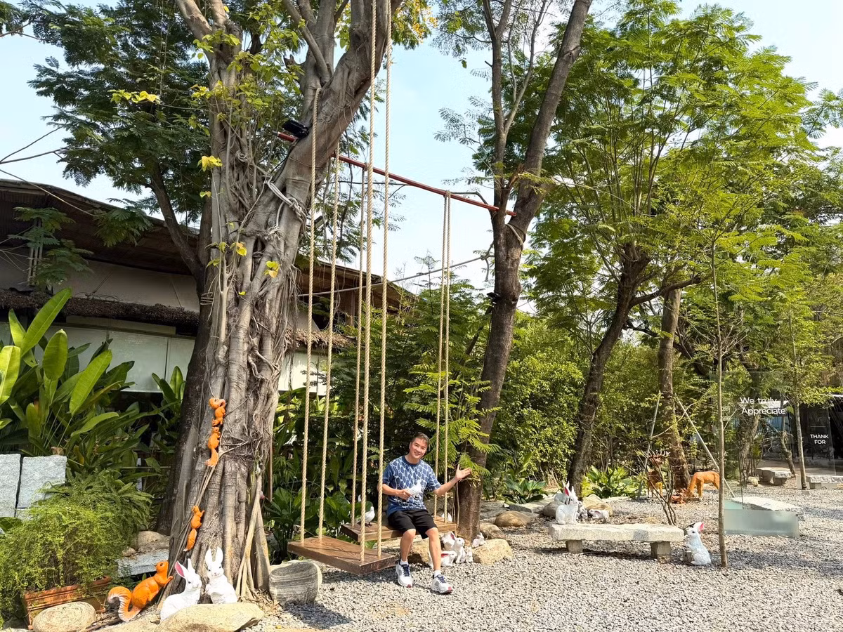 Đàm Vĩnh Hưng khoe không gian quán cà phê anh sắp mở đầy sắc xanh, đẹp như khu rừng nhiệt đới. Ảnh: FB Dam Vinh Hung