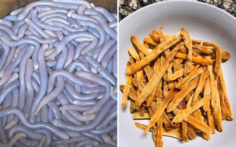 Không chỉ quý hiếm, sá sùng còn nổi tiếng vì vị ngọt đậm đà, thường được dùng để ninh nước dùng cho các món phở, bún cao cấp. Từ nguyên liệu đắt giá này, người dân miền biển đã sáng tạo ra hàng loạt món ăn hấp dẫn.