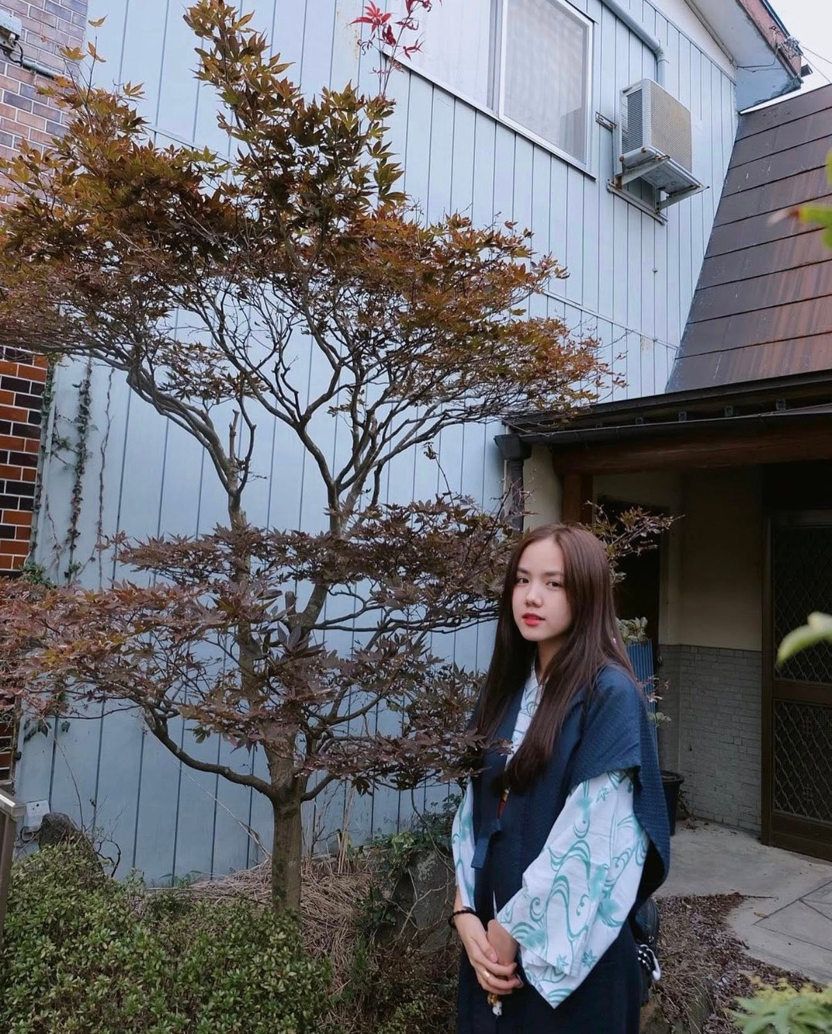 Phương Ly bước chân vào showbiz thông qua cuộc thi âm nhạc Vietnam Idol vào năm 2007 và 2010. Cô nổi tiếng nhờ danh xưng "em gái Phương Linh" và là một hot girl có vẻ ngoài xinh đẹp, phong cách ăn mặc cá tính.