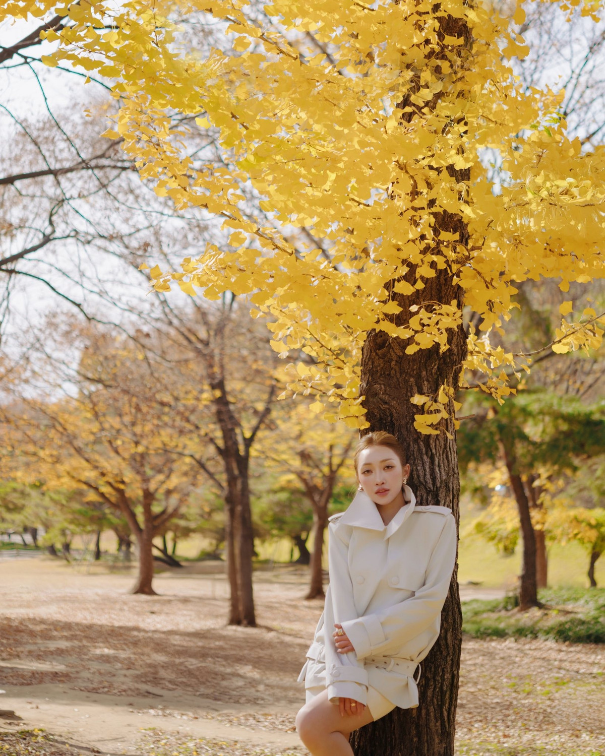 Tin tức sao Việt 9/1: Lý Thuỳ Chang - bà xã diễn viên Chi Bảo chụp ảnh dưới tán lá vàng cuối mùa thu ở Hàn Quốc. Ảnh: FB Chang.TV
