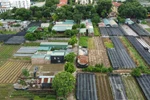 Hà Nội: Hàng loạt công trình “mọc” trên đất nông nghiệp ở Tây Tựu?