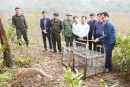 Thả 12 cá thể động vật quý hiếm về môi trường tự nhiên ở Hà Tĩnh