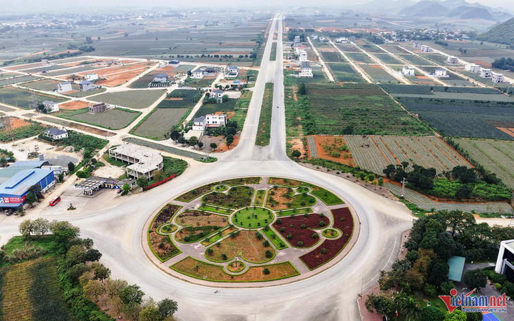 T.N hoa-lu-2.jpg