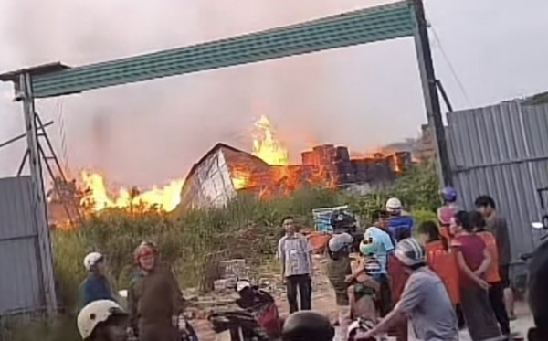 Xưởng gỗ này đã bị tạm đình chỉ hoạt động.