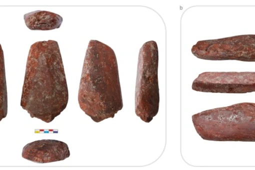 Bảng màu Thời kỳ Đồ Đá Mới 