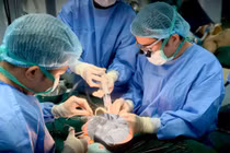 Nữ điều dưỡng hiến tạng thắp sáng những cuộc đời mới