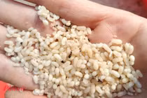 10 người nhập viện do phản vệ sau khi ăn thực phẩm lạ