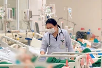 Sốc tim nguy kịch do uống củ ấu tàu chưa qua chế biến