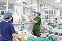 Nhiều người lớn mắc thủy đậu nguy kịch, sốc nhiễm khuẩn, suy đa tạng