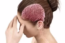 Món ăn – bài thuốc phục hồi sức khỏe, tốt cho não 