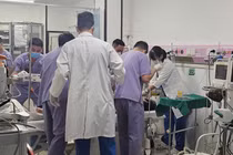 Rơi vào não gan, du khách Mỹ lú lẫn, suy đa tạng, suýt ngừng tim được cứu 