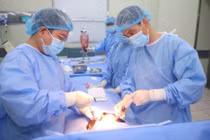 Ghép tủy, hành trình mang lại cuộc sống mới cho trẻ mắc bệnh hiểm nghèo