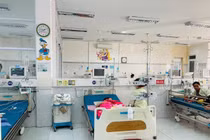 Lọc máu cứu trẻ 6 tuổi nguy kịch do ong khoái đốt