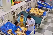 Cứu sống chàng trai 21 tuổi bị ong vò vẽ đốt nguy kịch