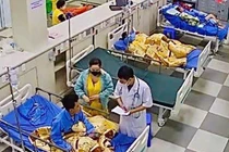 Cứu sống chàng trai 21 tuổi bị ong vò vẽ đốt nguy kịch