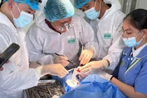 Chất tiết tế bào gốc điều trị thoái hóa khớp gối