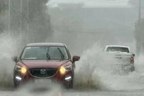 Không khí lạnh kèm nhiễu động gió Đông gây nhiều hình thái thiên tai nguy hiểm