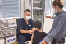 Nhiều trẻ bị chó cắn nghiêm trọng dịp hè