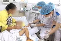 Trẻ 4 tuổi nhiễm khuẩn huyết, suy đa tạng vì mèo cắn đắp thuốc nam