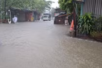 Mưa lớn trong đêm, nhiều khu phố Gia Lai lại ngập lụt