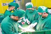 Đau bụng, cụ bà 70 tuổi phát hiện u buồng trứng lớn