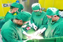 Đau bụng, cụ bà 70 tuổi phát hiện u buồng trứng lớn