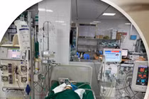 Cứu sống bé gái bị ong vò vẽ đốt hơn 50 nốt gây suy đa tạng, nguy kịch