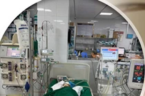 Cứu sống bé gái bị ong vò vẽ đốt hơn 50 nốt gây suy đa tạng, nguy kịch