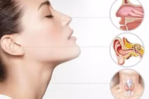 Chăm sóc tai mũi họng sai cách, triệu chứng nhỏ thành bệnh lý kéo dài