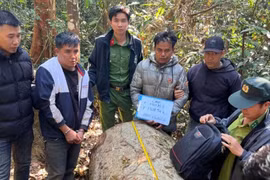 Hai đối tượng bị bắt giữ ngay tại hiện trường.