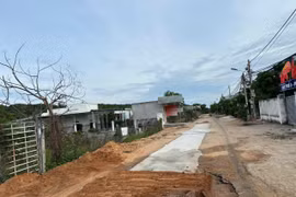 Phú Mỹ Thịnh trúng loạt gói thầu tại Lâm Đồng, nhiều gói sát giá dự toán