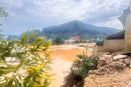 Lâm Đồng di dời dân ở D’ran khỏi vùng nguy cơ sạt lở