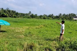 Đất công bỏ hoang hàng chục năm ở xã An Thạnh Thủy (Đồng Tháp)