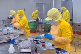 Doanh nghiệp tư nhân cần hỗ trợ thực chất, không phải trên giấy tờ