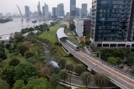TP HCM nghiên cứu mô hình tư nhân đầu tư vận hành metro