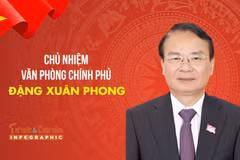 [INFO] Chân dung Chủ nhiệm Văn phòng Chính phủ Đặng Xuân Phong