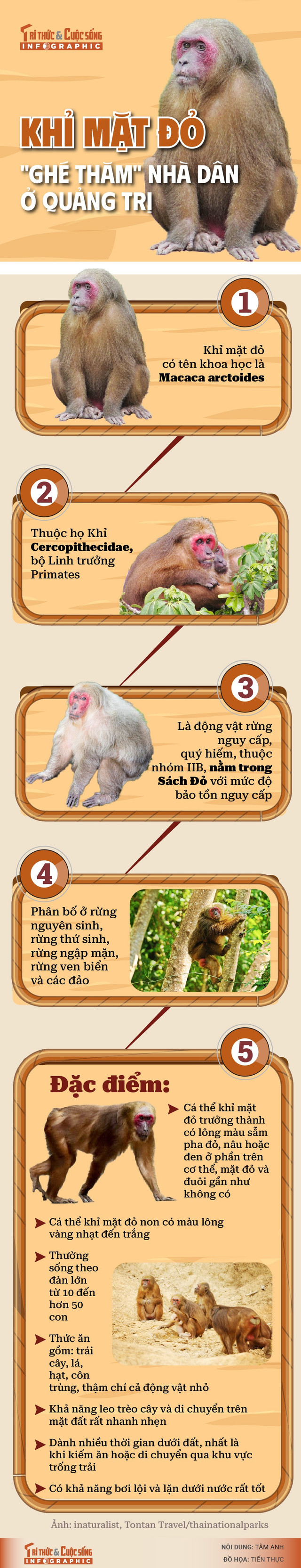 info-khimatdo-01-01.jpg